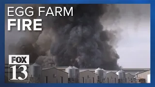 UDAF commissioner doesn't expect much impact on egg prices after Cache County farm fire