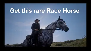 How to get The Brindle Thoroughbred Race Horse for free - Red Dead Redemption 2