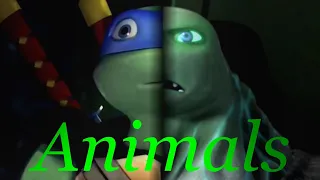 TMNT2012 AMV - Animals