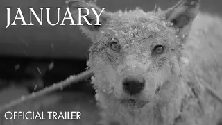 January - Trailer | Out Now on Digital HD