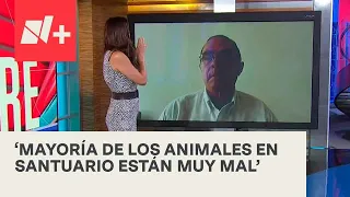 Ernesto Zazueta explica la situación de los animales en santuario Black Jaguar-White Tiger