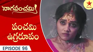 Naga Panchami - Episode 96 Highlight 3 | Telugu Serial | StarMaa Serials | Star Maa
