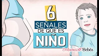 ¿Es NIÑO? 👦🏻 5+1 SEÑALES que lo confirman 🤩