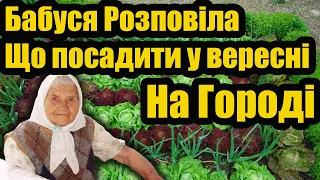 БАБУСЯ РОЗПОВІЛА Що Можна Посадити У Вересні На Городі