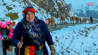 Göç Günü Gelince - Zorlu Yayla Dönüşü | Belgesel ▫️4K▫️