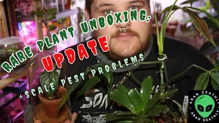 Rare Plant Unboxing from BensJungle: Update!