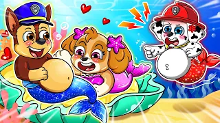 Chase MERMAID Is Pregnant! What Happened? - Very Sad Story - Paw Patrol Ultimate Rescue -  Rainbow 3