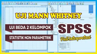 Complete Tutorial For Mann Whitney Test SPSS – Mann-Whitney U Test SPSS