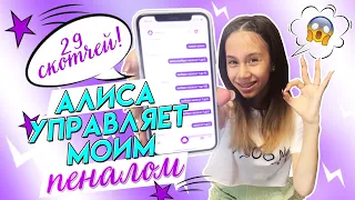 АЛИСА УПРАВЛЯЕТ👉 Пеналом и Канцелярией в 7 Класс