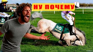 Скачки Александров Гай Самые быстрые Лошади в мире. Бешеная скорость Лошадей.