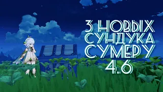 3 НОВЫХ СУНДУКА В СУМЕРУ 4.6 / Genshin Impact