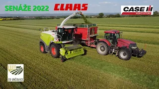 TRAVNÍ SENÁŽ 2022 z DRONU/6 odvozců/CLAAS JAGUAR 960 & PICKUP 300/ZD UNČOVICE/*4K*