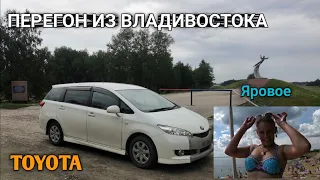 КУПИЛ TOYOTA WISH. ПЕРЕГОН В ОДНОГО ИЗ ВЛАДИВОСТОКА - АЛТАЙ - КРАСНОДАР.