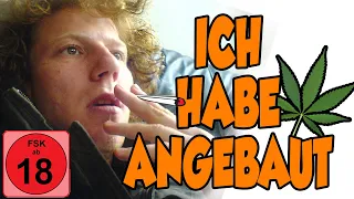 Ich habe Cannabis angebaut - Mein Geständnis nach der Verjährung!