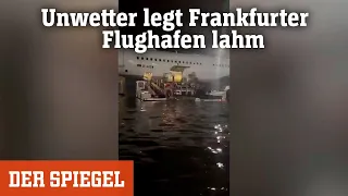 Unwetterfolgen: So haben Wassermassen den Frankfurter Flughafen lahmgelegt | DER SPIEGEL