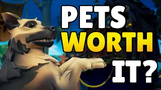 Are Pets Worth It In Sea of Thieves?