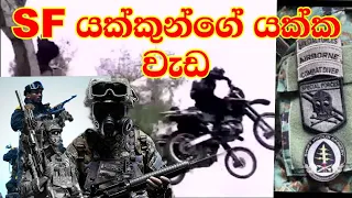 ☠️🔥Amazing collection  from the Special force(SF) |Army|Special Force Sri Lankan Army|Army training|