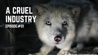 A Cruel Industry: The Reality of Fur Farming