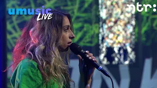 Nona - Sleeptalking | Live bij Pinkpop 2020