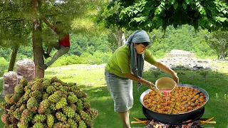 Potato Harvest | Pine Cone Syrup Recipe | Forest Journey