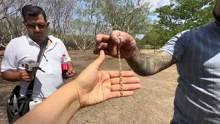 Hallazgos en el parque Metropolitano