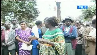 Wangari Maathai profile