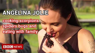 ANGELINA JOLIE'S KITCHEN (SPIDERS BUGS SCORPIONS EDITION)