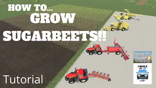 How to Grow Sugarbeets in Farming Simulator 19!!