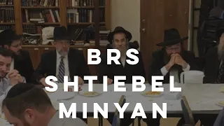 Chabad Chevra Mixing It Up At Boca Raton Synagogue!