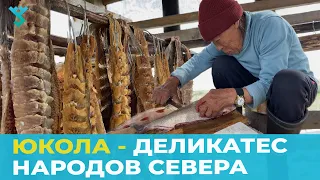 Юкола -  деликатес народов севера