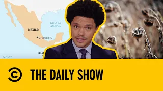 Climate Change Creates New Business Opportunity For Drug Cartels In Mexico | The Daily Show