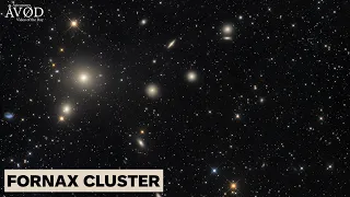 FORNAX CLUSTER