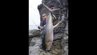 Huge Yellowfin Tuna on a popper Landbased,World Record denied by huge Shark. {Biggest ever Landed}