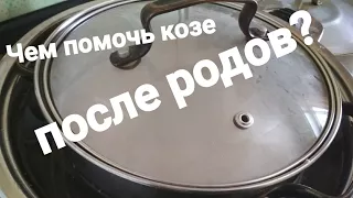 Коза родила? Что надо сразу сделать?