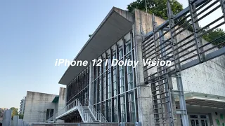 【4K HDR】iPhone 12 Dolby Vision | WetlandPark Hong Kong