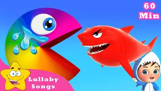 Happy Birthday, Mommy Shark! Pacman And Shark| Kindergarten Songs & Competition Songs