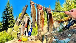 MOUNTAIN TROUT Fishing!!! 24H SOLO Catch, Cook, Camp & Filming Wild Axolotls!