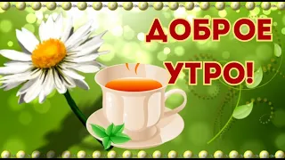 С добрым утром! Замечательное пожелание! ☕ #пожеланиедоброгоутра #доброеутро #сдобрымутром