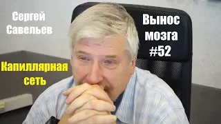 «Капиллярная сеть» Сергей Савельев (Вынос мозга #52)