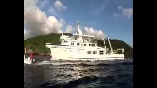 MV Argo - Cocos Island liveaboard