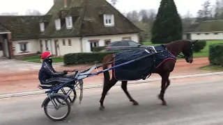 En direct du centre d'entraînement de Grosbois