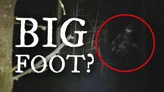 We Investigate The Hunt For Bigfoot • Out There