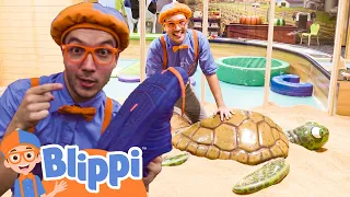 Blippi Explores a Children's Museum - Learning Kid's Toys! | Kids TV Shows | Cartoons For Kids |