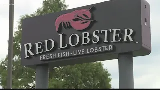 'Red Lobster' considering filing for bankruptcy