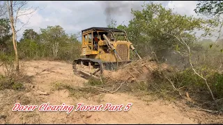 Amazing ! project Bulldozer SHANTUI Clearing Land And Forest Tree With By Big Dozer EP5