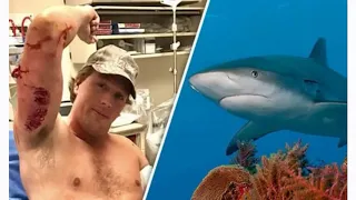 Смертельное нападение акулы на рыбу сняли на видео