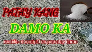 MABILIS AT MATIPID NA PAMATAY DAMO