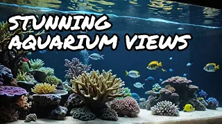 Dive In: Experience the Majesty of Two Ocean Aquarium in South Africa #aquaticwonders