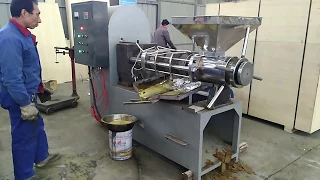 Canola seeds with oil press machine