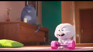 The Secret Life of Pets 2 | animated | movie | in hindi scene.